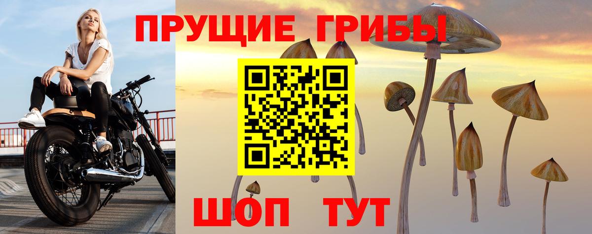 Галлюциногенные грибы Psilocybe  Вход с VPN  Галлюциногенные грибы Psilocybine cubensis  Нижневартовск 